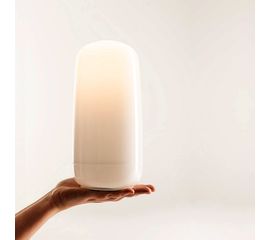 Настольный светильник Artemide Gople Portable, фото 1