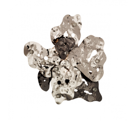 Настенный светильник IDL Leaves 605/5A, фото 1