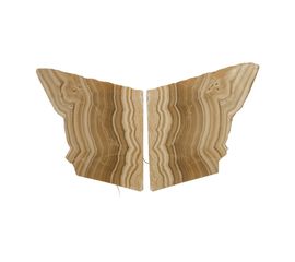 Настенный светильник Philips Collection Onyx Butterfly Sconce, фото 1