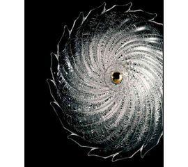 Потолочный светильник Barovier&amp;Toso 5355/30, фото 1