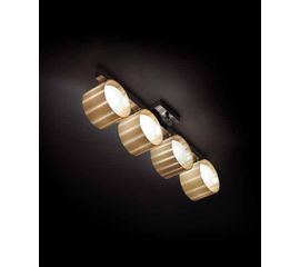 Потолочный светильник MM Lampadari Duetto D044/P4, фото 1