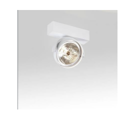 Настенно-потолочный светильник Delta Light RAND 111 T50, фото 1