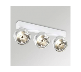 Настенно-потолочный светильник Delta Light RAND 311 T50, фото 1