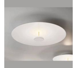 Потолочный светильник Olev OVERFLY PLUS PL 55, фото 1