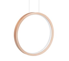 Подвесной светильник BPM Lighting Alberta inside vertical, фото 1