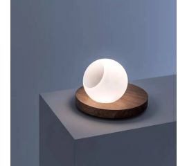 Настольный светильник Davide Groppi PIGRECO, фото 1