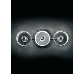 Настенно-потолочный светильник Oluce Fiore 123, фото 1