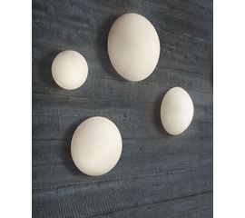 Настенно-потолочный светильник Muranoluce CLIP AP/PL 50, фото 1