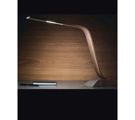 Настольная лампа Elite Junk, фото 1