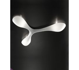 Настенно-потолочный светильник Florian EOLO max F3.032, фото 1