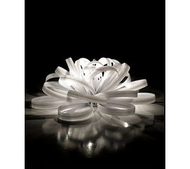 Настольная лампа Italamp Fan 2310/LT, фото 1