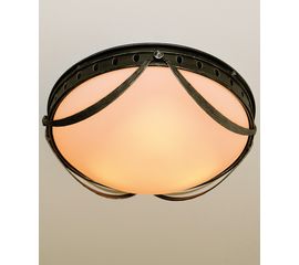 Потолочный светильник Robers DE 2527, фото 1