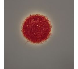 Настенный светильник Arturo Alvarez Icarus IC06P, фото 1