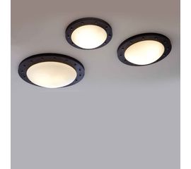 Потолочный светильник Robers Indoor DE 2550, фото 1