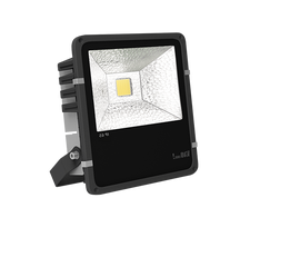 Уличный прожектор Vivo Luce Calando 2 LED 50, фото 1