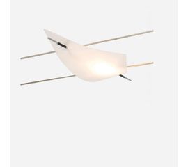 Трековый светильник Oligo Light-Line IGUA, фото 1