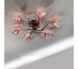 Потолочный светильник IDL 255/5PF-mogano, фото 1