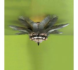 Потолочный светильник Banci 75.0967, фото 1