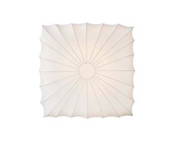 Потолочный светильник Donolux C111011/2S, фото 1