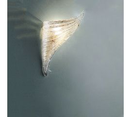 Vistosi Giglio AP DES, фото 1