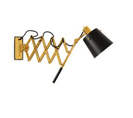 Delightfull PASTORIUS WALL, фото 1