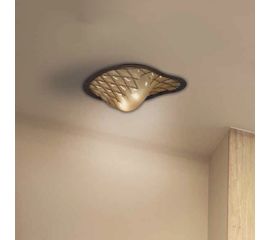 Потолочный светильник Siru Sant E’rasmo MC 415-020, фото 1