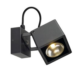 BIG NAUTILUS, фото 1