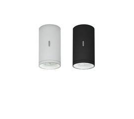Потолочный светильник Artemide outdoor Calumet 13 ceiling, фото 1