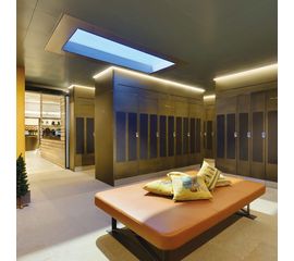 Встраиваемая в потолок система освещения CoeLux CoeLux® 60, фото 1