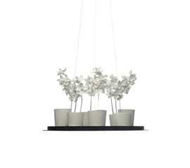 Подвесной светильник Jeremy Cole Cymbidium Chandelier, фото 1