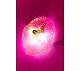 Настенный светильник Beby Italy ORCHID 8060A01, фото 1