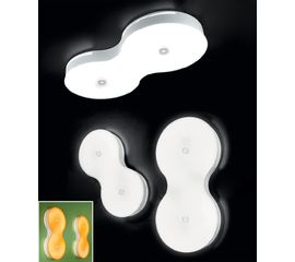 Настенно-потолочный светильник Zonca 31007, 31006, фото 1