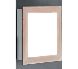 Настенно-потолочный светильник Zonca 30803, фото 1