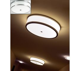 Потолочный светильник Zonca 30923, фото 1