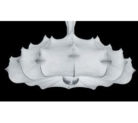 Подвесной светильник Flos Zeppelin 1, фото 1