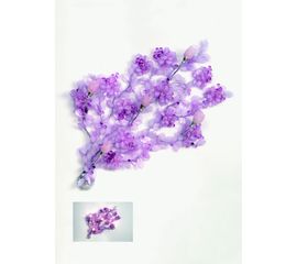 Pataviumart AP3700, фото 1