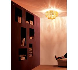 Потолочный светильник Vistosi Ecos PL 60 A, фото 1