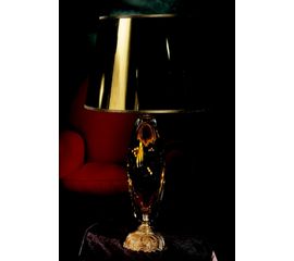 Настольная лампа Pataviumart TLM305/01AG, фото 1