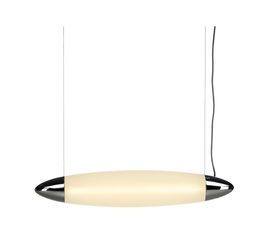 CREST PD-1 pendant, фото 1