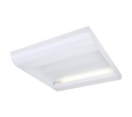 TC INDI 255, фото 1