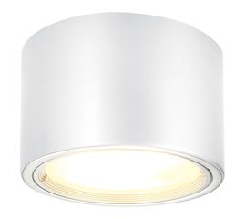 PL SURFACE-MOUNTED SPOT, фото 1