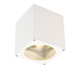 BIG THEO, фото 1