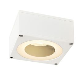 BIG THEO, фото 1