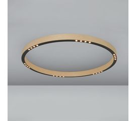 Потолочный светильник B-lux R2 C60, фото 1