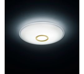 Потолочный светильник Helestra NUNO, фото 1