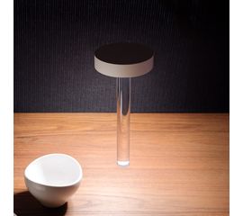 Настольный светильник Davide Groppi Tetatet flute, фото 1