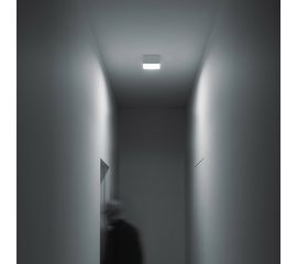 Потолочный светильник Davide Groppi HAKO PL, фото 1