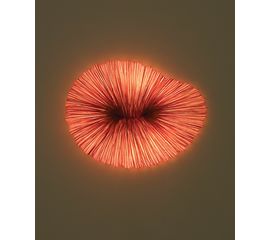 Настенно-потолочный светильник Aqua Creations CORAL, фото 1