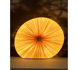 Настольная лампа Aqua Creations RIGUA, фото 1