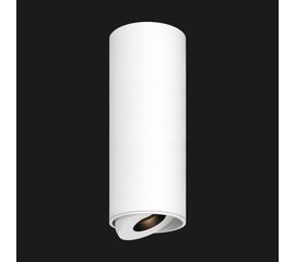 Потолочный светильник Doxis Titan 200 Surface Mounted, фото 1